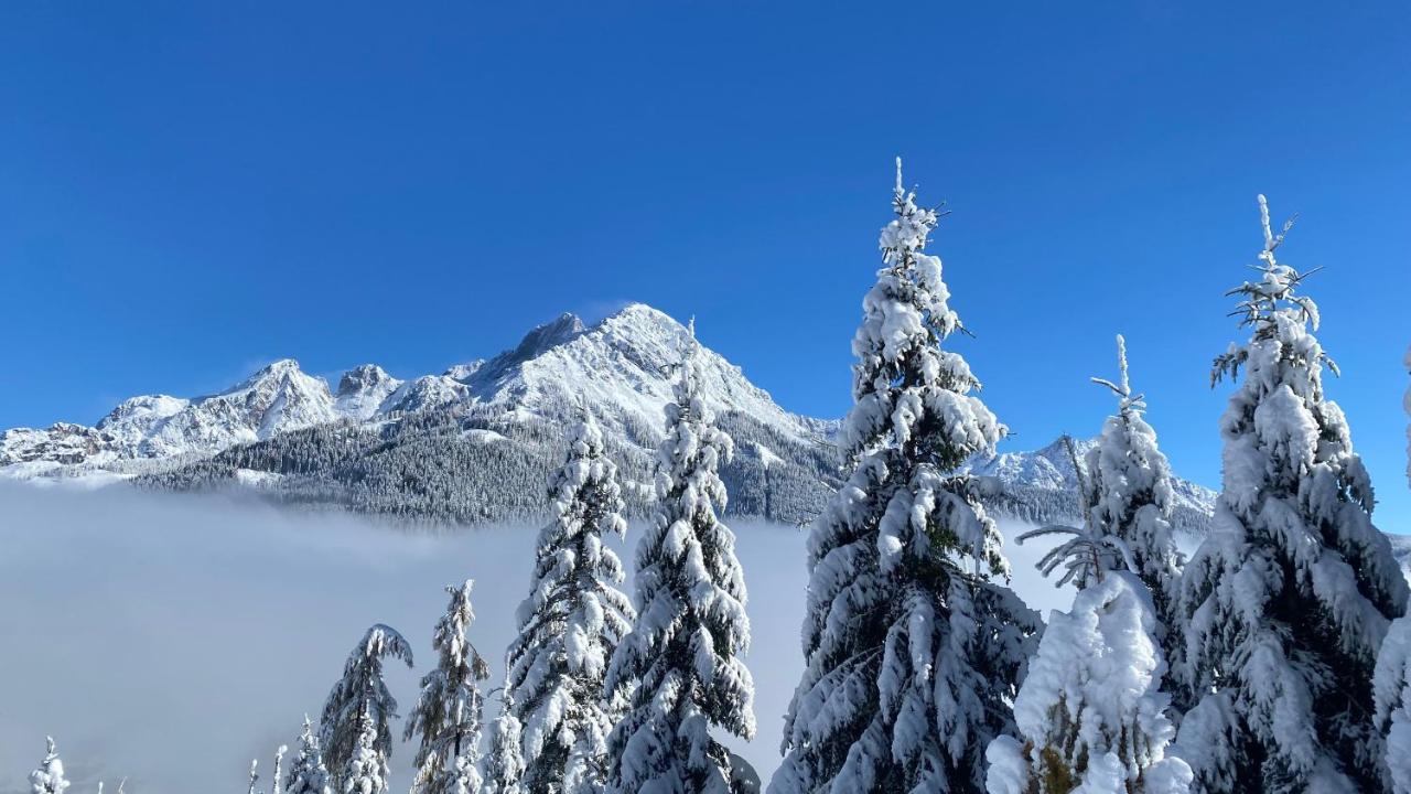 Chalet Kleinbergsonne Фильцмос Экстерьер фото